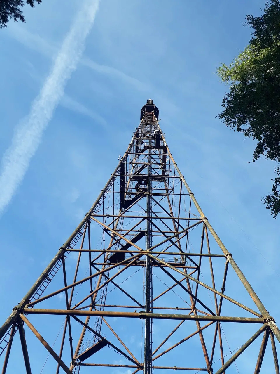 Masti hooldus ja korrastamine — Pärnu telemast