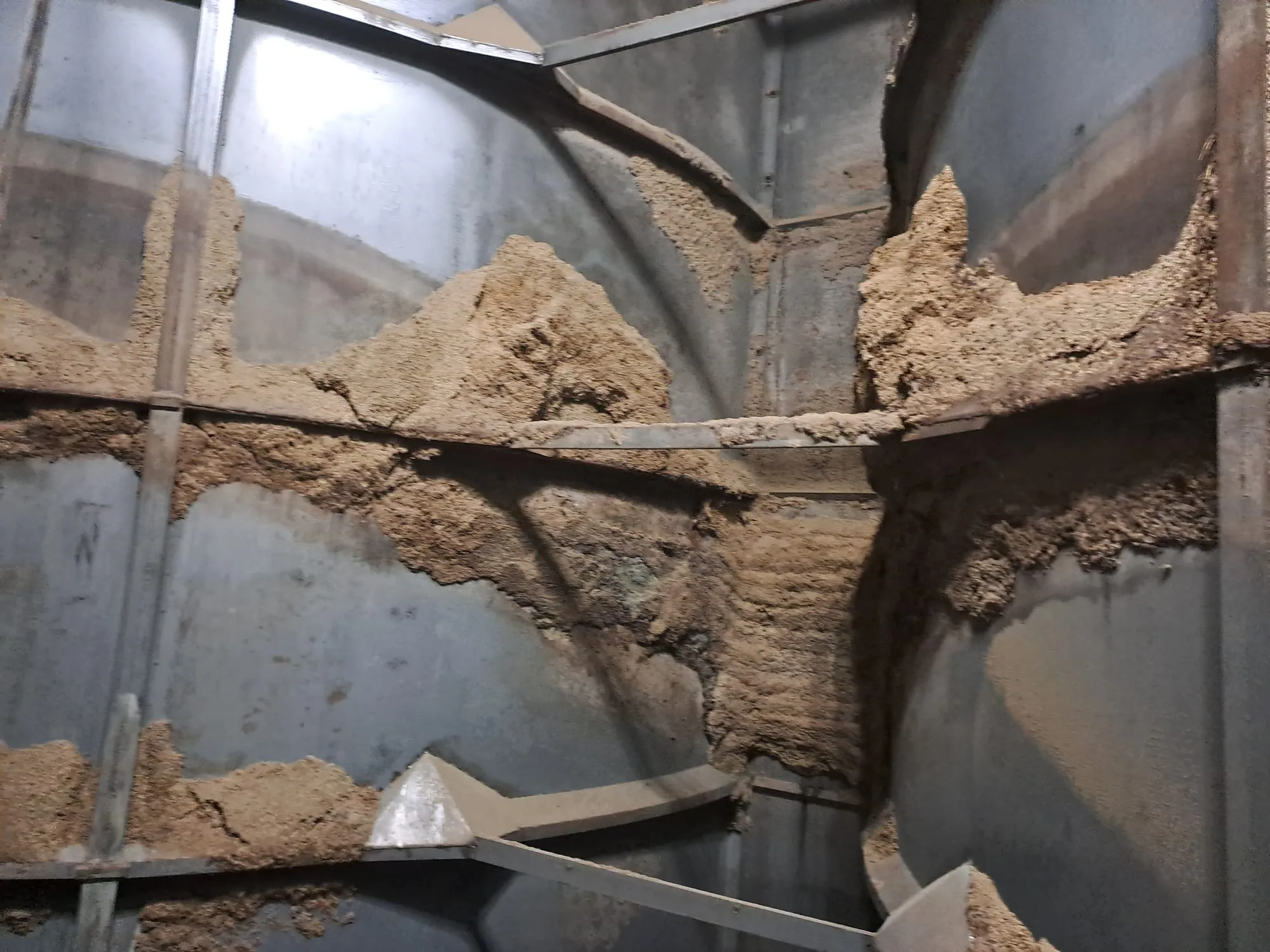Silo koonuse seintele paakunud vili enne puhastust