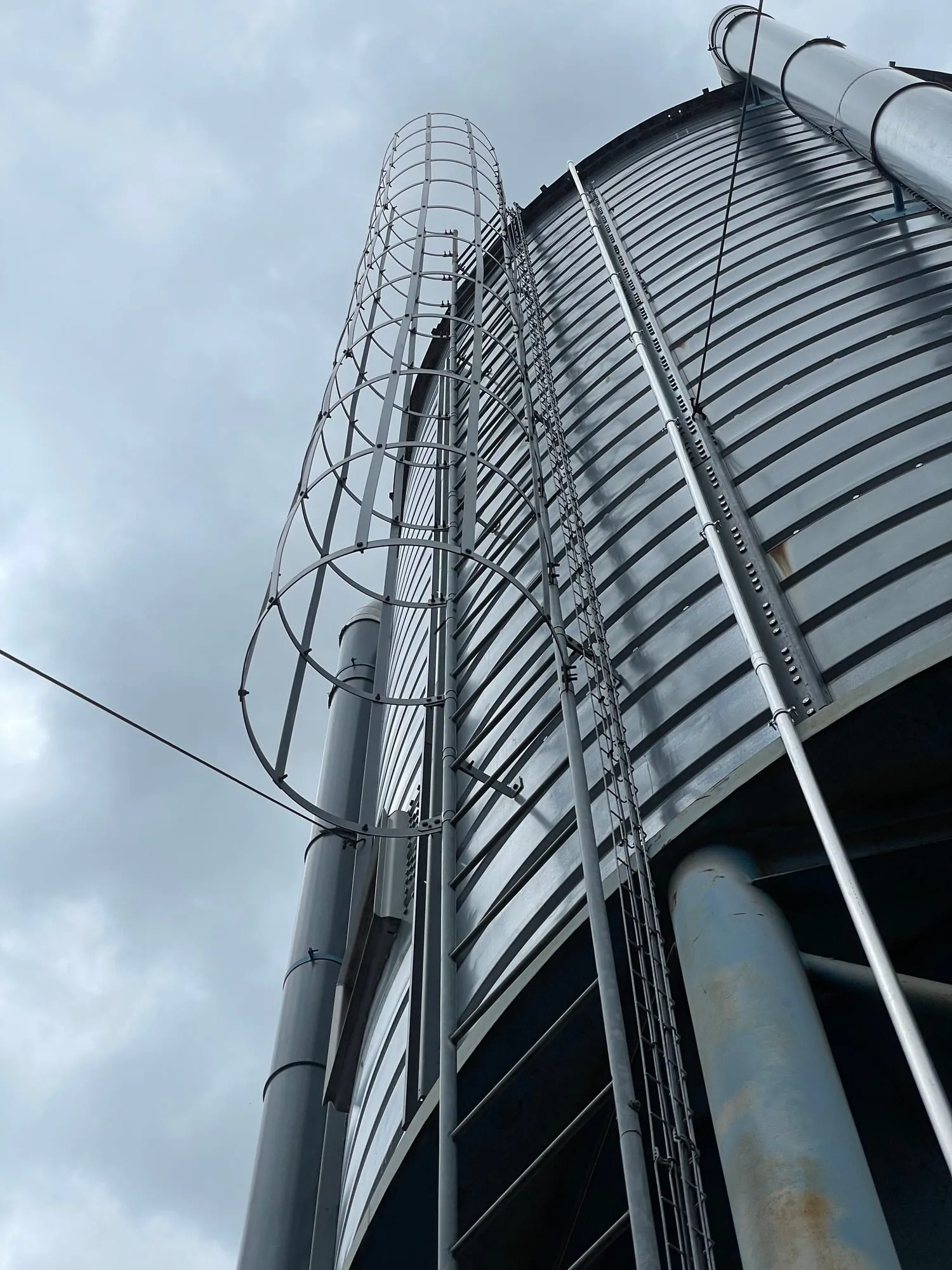 Silo küljes olev redel turvapuuriga alt üles vaates — kukkumiskaitse siini paigalduskoht