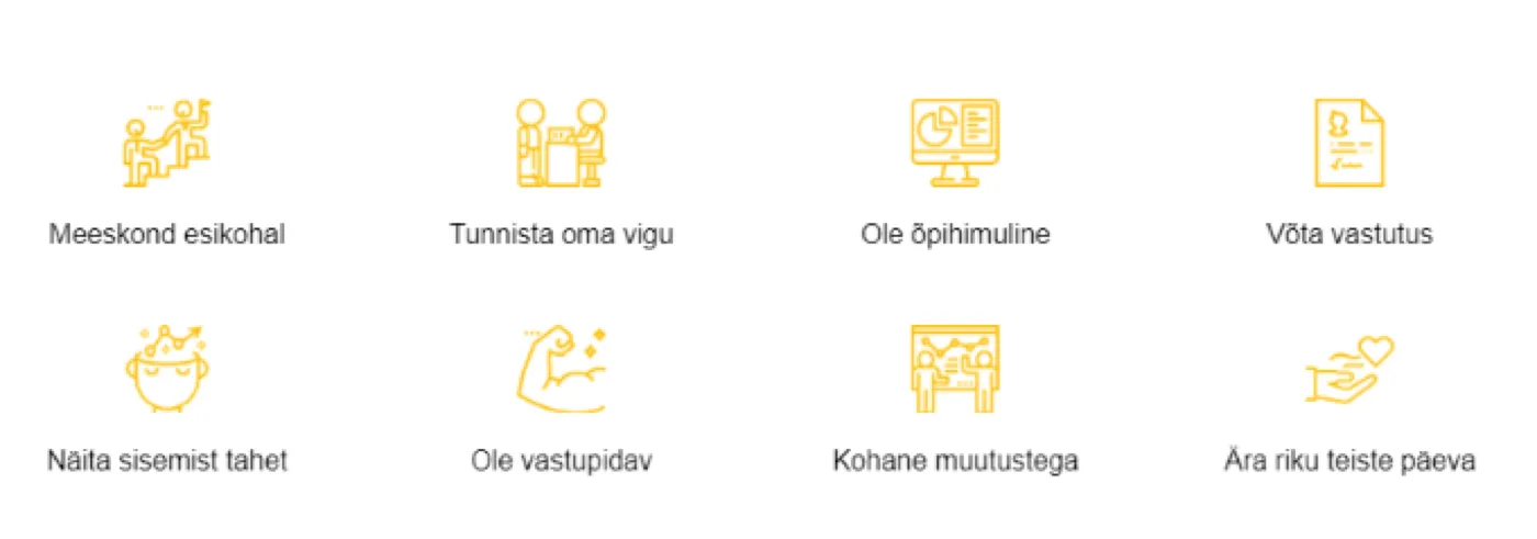 Ikoonidega graafika, mis loetleb Skyproffi kaheksa väärtust